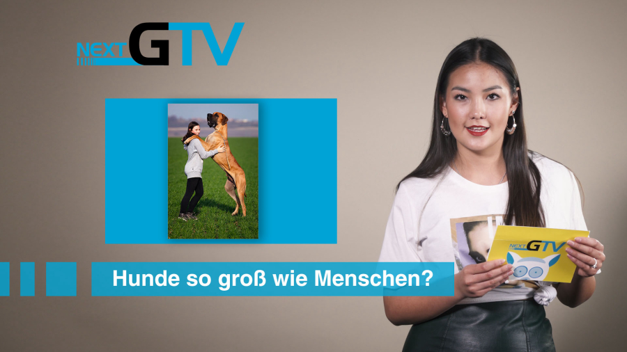 Artikel