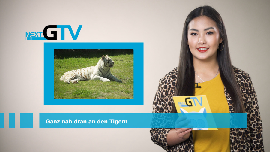 Artikel