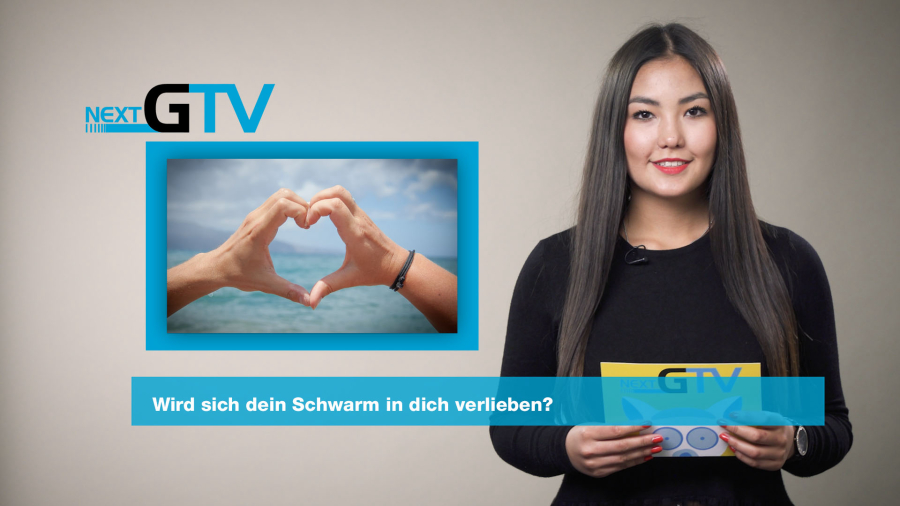 Artikel