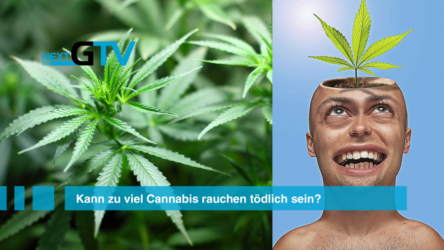 Artikel