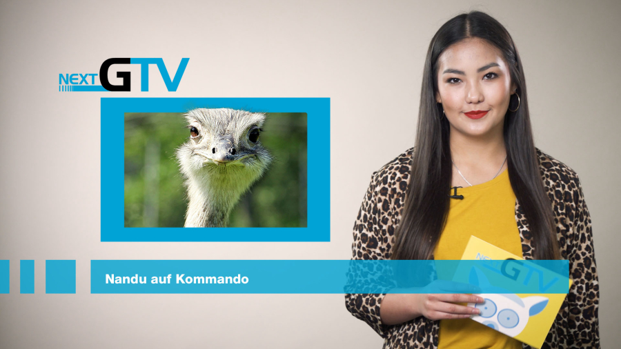 Artikel