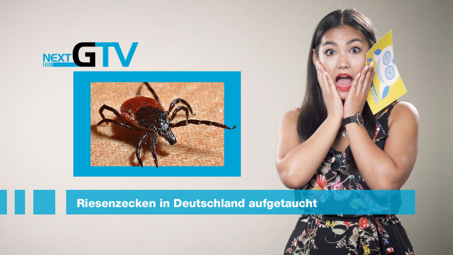 Artikel