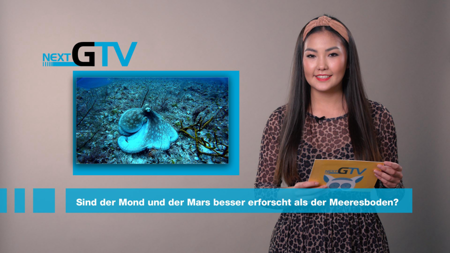 Artikel